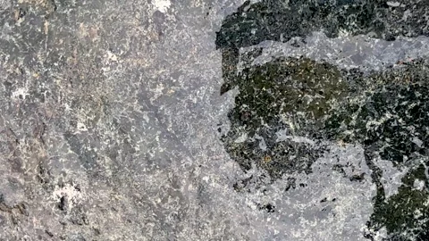 Closeup of textured stone surface with intricate patterns and earthy color .. Stock Footage 339368875
