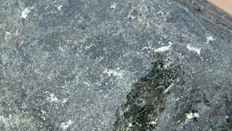 Closeup of textured stone surface with intricate patterns and natural color.. Stock Footage 339368880