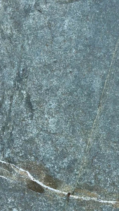 Closeup of textured stone surface with natural patterns and subtle color va.. Stock Footage 338414296