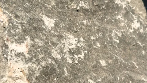 Closeup of textured stone surface with natural patterns and earthy tones in.. Stock Footage 339368884