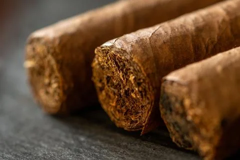 Closeup of three brown cigars with sharp focus on cut ends Stock Photos