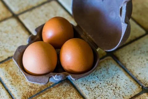 Closeup of three chicken eggs in a case, popular protein source, animal food  Stock Photos