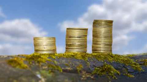 Closeup three heap of coins on the tree trunk Stock Footage 160913937