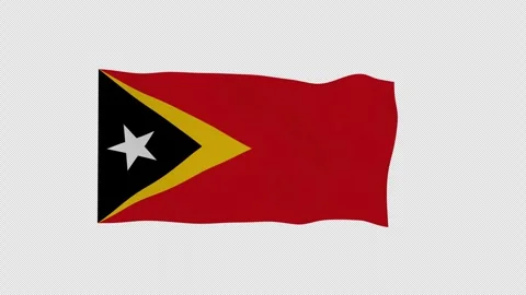 Closeup Timor Leste National Flag Rippling Alpha Overlay Video stock 342390641