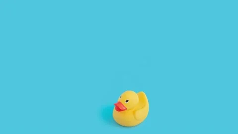 Closeup of a tiny moving toy duck against a blue background Vídeos de archivo 221490914