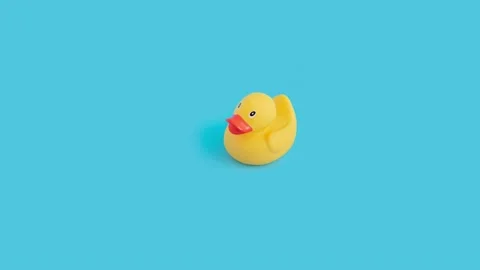 Closeup of a tiny moving toy duck against a blue background Vídeos de archivo 221490930