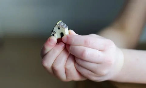 Closeup of tiny plastic house standing on the child's hand Stock Photos