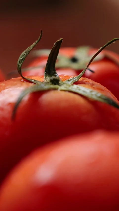 Closeup of tomato Stock Footage 280465723
