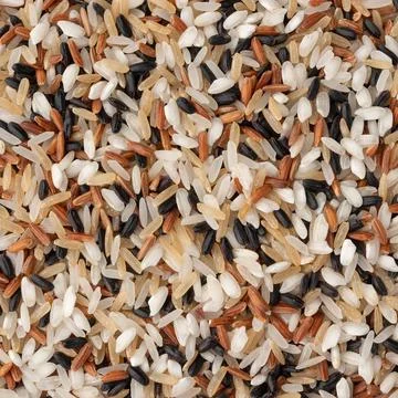 Closeup, top view of assorted raw rice. Food backdrop Stock Photos