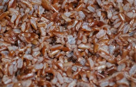Closeup top view of the cooked Himalayan red rice, showing texture and color. Foto stock