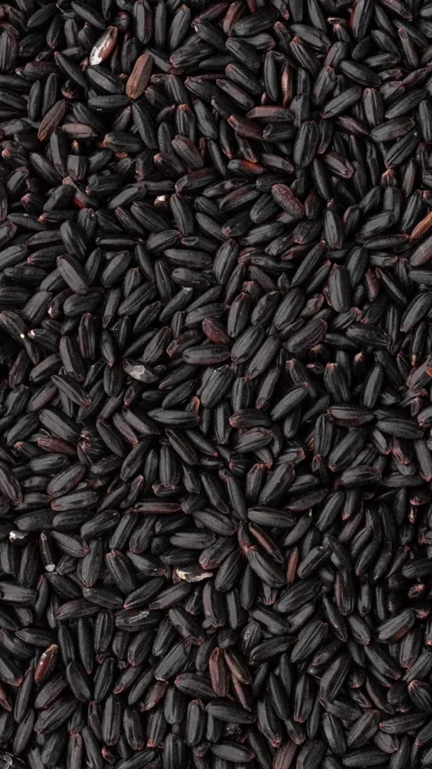Closeup, top view of raw black rice. Food backdrop Stock Footage 339784215