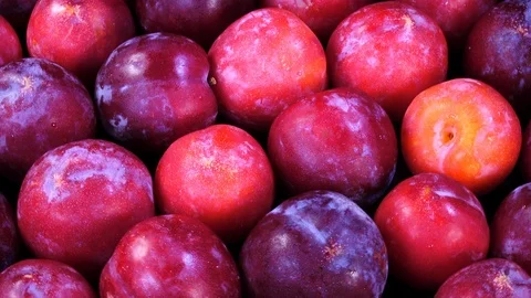 Closeup top view rotation of ripe fresh plums in 4K. 動画素材 90418330
