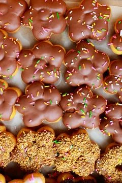 Closeup top view studio shot of various kinds of delicious tasty yummy baki.. Stock Photos