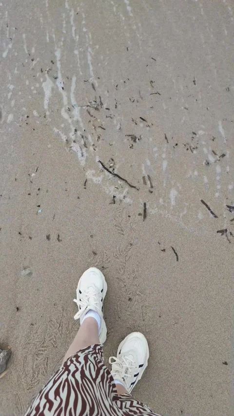 Closeup top view video of young woman legs in sneakers walking on beach near sea Stock Footage 235557538