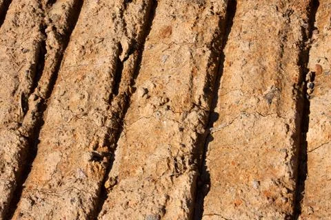 Closeup On Tractor Tread Marks In Dried Mud Foto stock