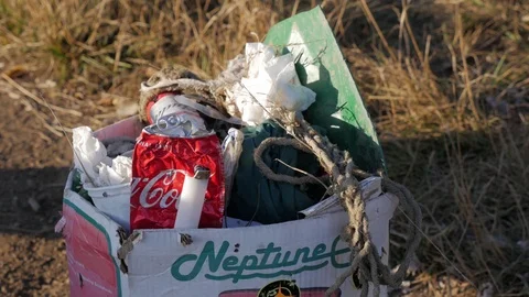 Closeup of Trash by Chehalis River Aberdeen Washington Stock Footage 95140122