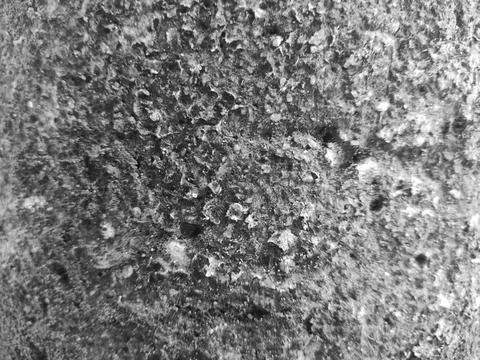 Closeup tree bark 78 Stock Photos