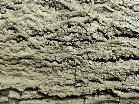 Closeup tree bark 95 Stock Photos