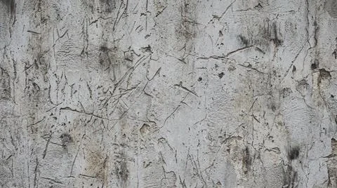 Closeup of tree bark texture surface. Fotos Stock