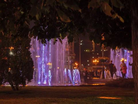 Closeup of tree branches and blurry Maidan Nezalezhnosti square with fountain Stock Photos