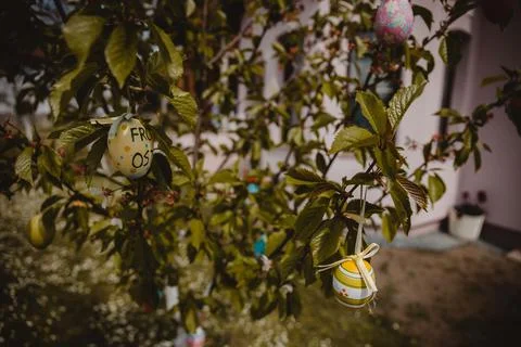 Closeup of a tree decorated with Easter eggs against the background of the house 스톡 사진