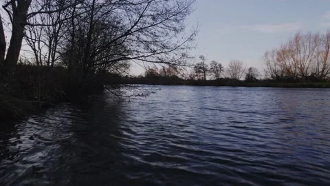Closeup on tree hanging over the river lake during autumn winter Stock Footage 167769453