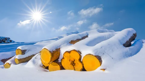 Closeup tree log lie on snowbound forest glade at bright sunny day Vídeos de archivo 301081788