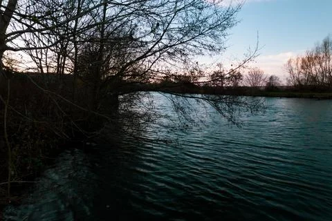 Closeup of tree over the river during autumn and winter Stock Photos
