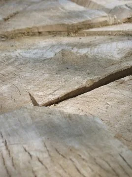 Closeup of a tree stump Stock-Fotos