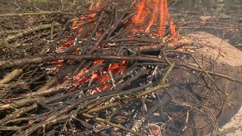Closeup of tree twigs burn in fire place. Starting open fire Stock Footage 109348123