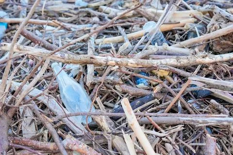 Closeup Twisted Roots and Plastic Bottles Stock Photos