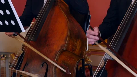 Closeup of two bass players playing double basses in symphony orchestra Video stock 197801701
