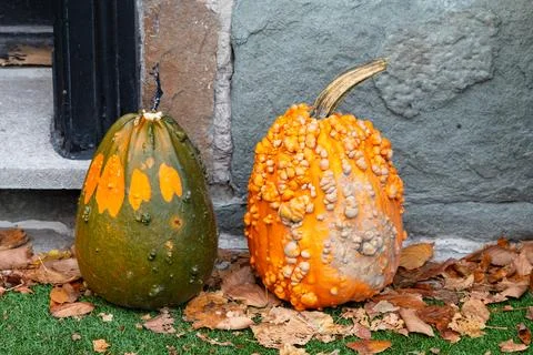 Closeup of two different pretty squashes Stock Photos
