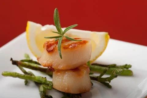 Closeup of two grilled scallops Stock Photos