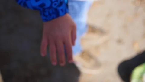 Closeup of two Lovers Joining Hands. Detail Silhouette of Man and Woman holding Vidéo 74899024