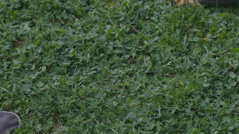 Closeup - Two men greet and hug each other at a park - shot on RED Stock Footage 124911374