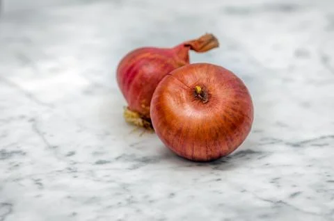 Closeup of two Onions Stock Photos