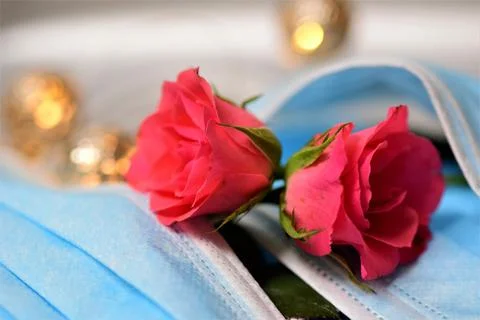 Closeup of two pink roses between surgical masks and lights in the background Stock Photos