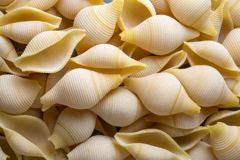 Closeup of uncooked large pasta shells - Conchiglioni rigati pasta Stock Photos
