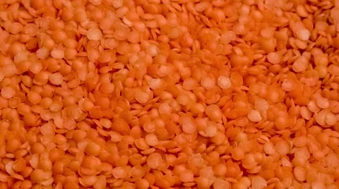 Closeup of uncooked split red lentils Stock Footage 67195323