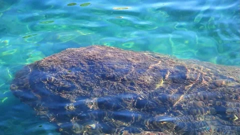 Closeup underwater rocks waves blue ocean water Bogliasco shore Stock Footage 326465661