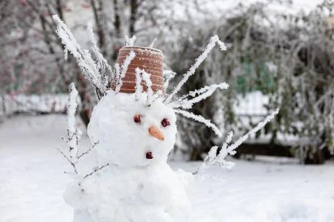 Closeup of upper part of snow man made by adults with carrot nose, tree twigs Stock Photos