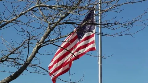 Closeup of US Flag Through Wintry Tree Limbs Stock Footage 69232178