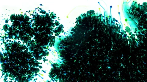 Closeup of with Various Bacteria, Tissue and Blood Samples. Virus Testing Stock Footage 275980998