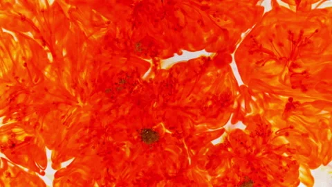 Closeup of with Various Bacteria, Tissue and Blood Samples. Virus Testing Stock Footage 276995730