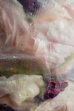 Closeup of various flowers wrapped in plastic with water drops Stock Photos