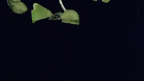 Closeup of vegetables fruit and ice falling across screen in slow motion I Stock Footage 109573668