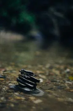 Closeup vertical shot of small thin rocks in the ground Foto stock