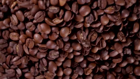 Closeup video of coffee beans Stock-Footage 167763014