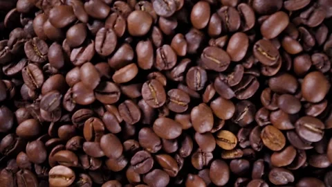 Closeup video of coffee beans Stock Footage 167763015